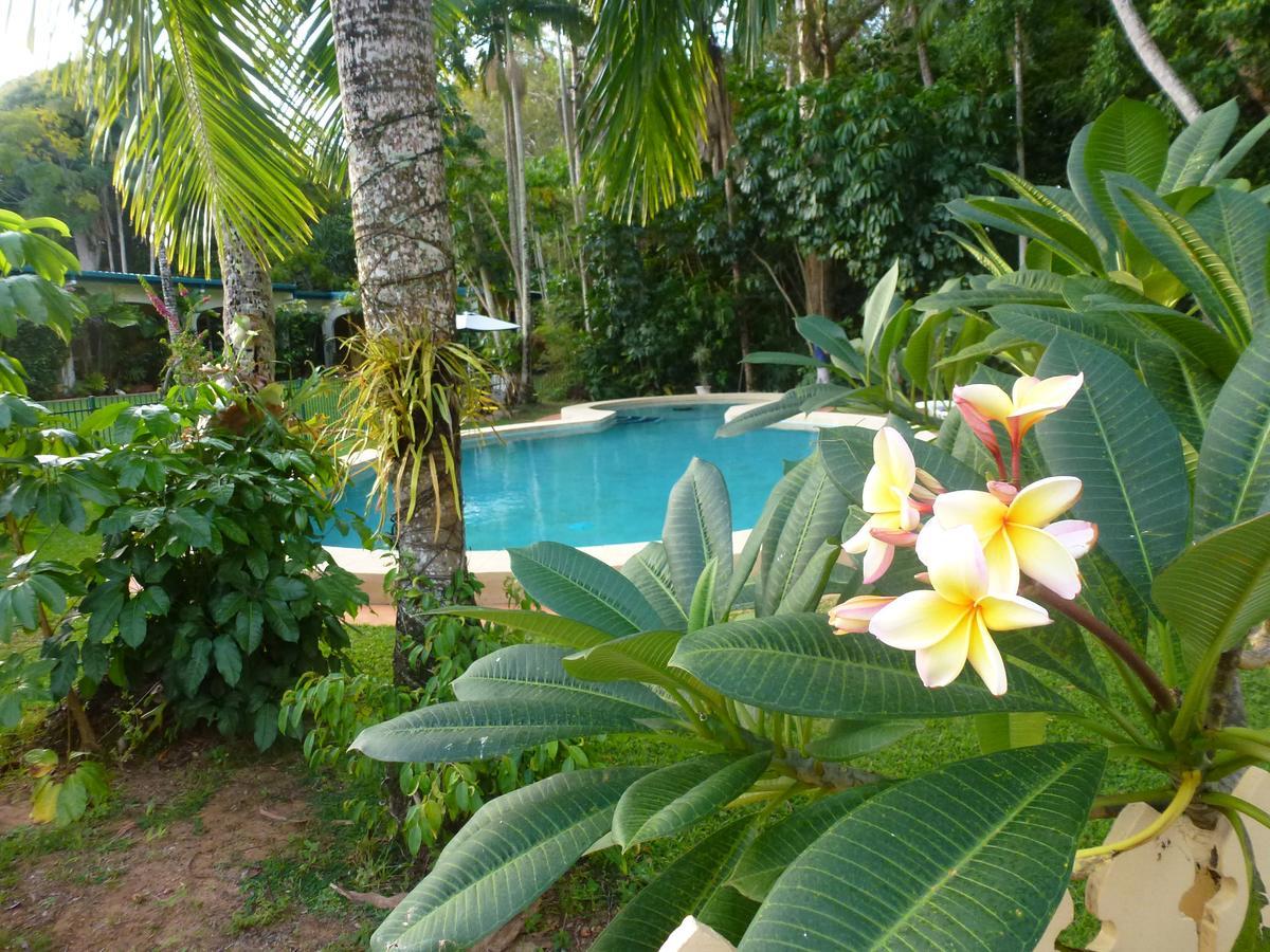 Villa Marine Holiday Apartments Cairns Yorkeys Knob Rom bilde