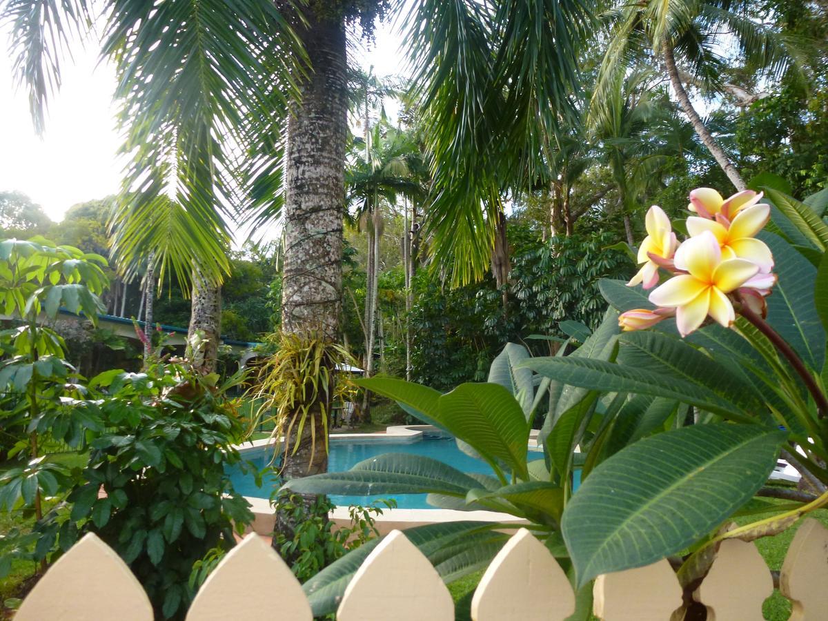 Villa Marine Holiday Apartments Cairns Yorkeys Knob Eksteriør bilde